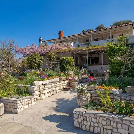 Beautiful In With Wifi Apartment Supetarska Draga